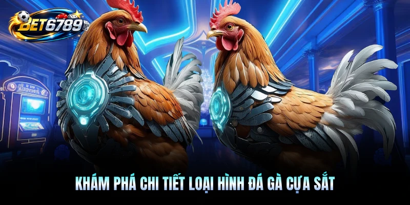 Khám phá chi tiết loại hình đá gà cựa sắt