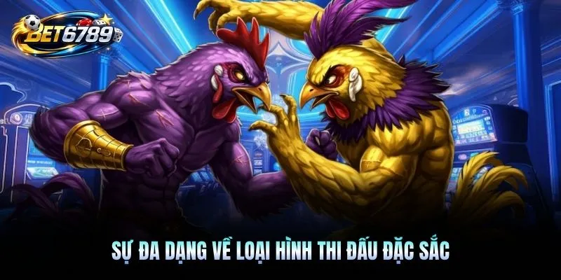 Sự đa dạng về loại hình thi đấu đặc sắc