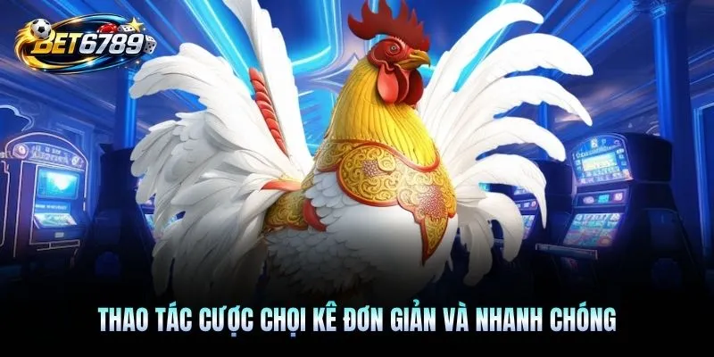 Thao tác cược chọi kê đơn giản và nhanh chóng