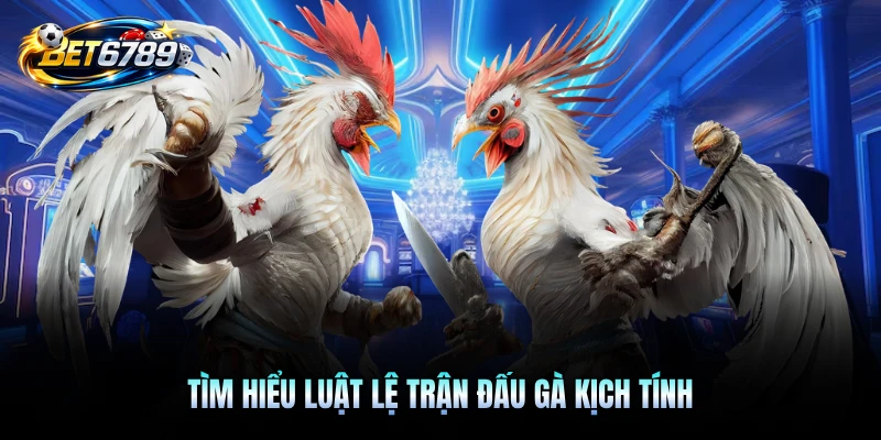 Tìm hiểu luật lệ trận đấu gà kịch tính